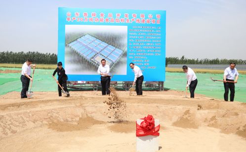 匠心筑基 食安为民——鲁粮集团功能食品馅料项目开工奠基仪式圆满落幕